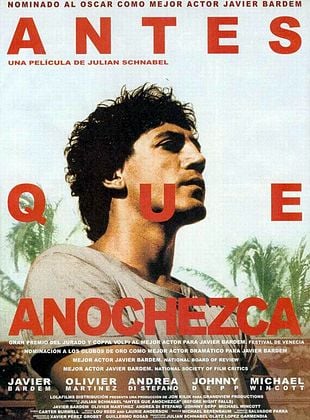 Antes de que anochezca