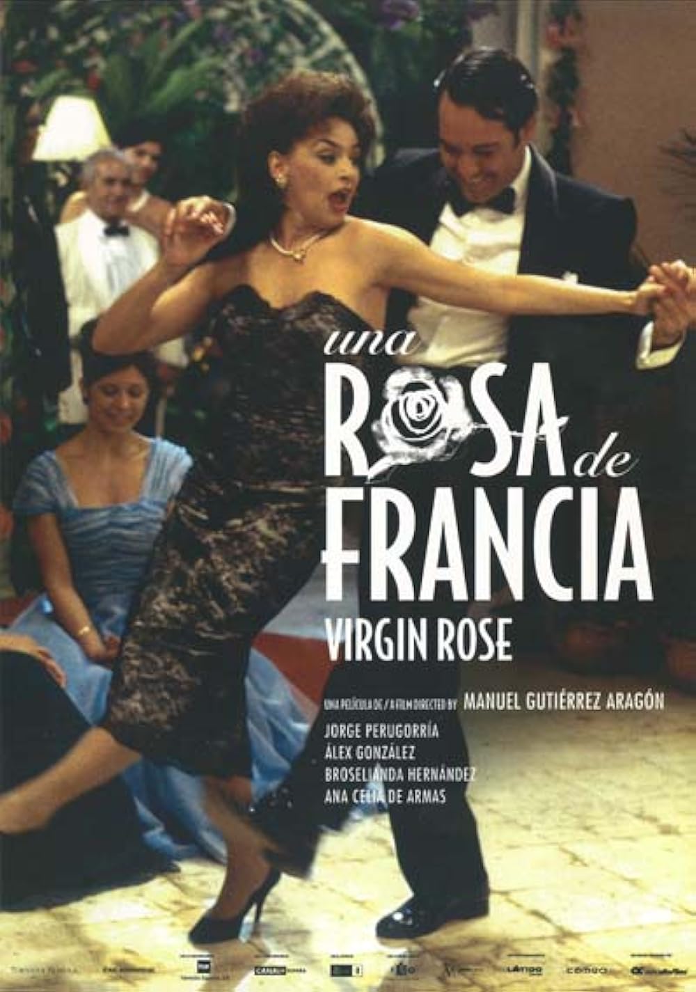 Una rosa de Francia